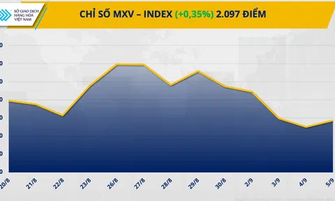 Chỉ số MXV-Index quay đầu đi lên, kết thúc chuỗi giảm 4 phiên liên tiếp