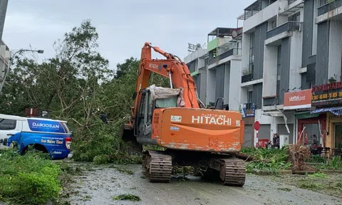 Cách phòng chống bệnh dịch sau bão