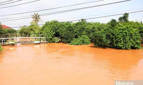 Ngập trên diện rộng ở Đồng Nai, người dân trắng đêm chạy lũ