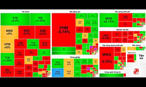 Cổ phiếu VHM đè nặng VN-Index