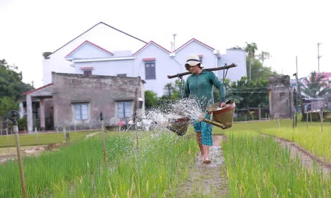 Hội nghị quốc tế về Du lịch nông thôn 2024: Quảng Nam là điểm đến toàn cầu