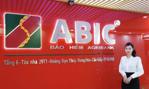 Cổ đông ABIC sắp nhận "quà" Giáng sinh